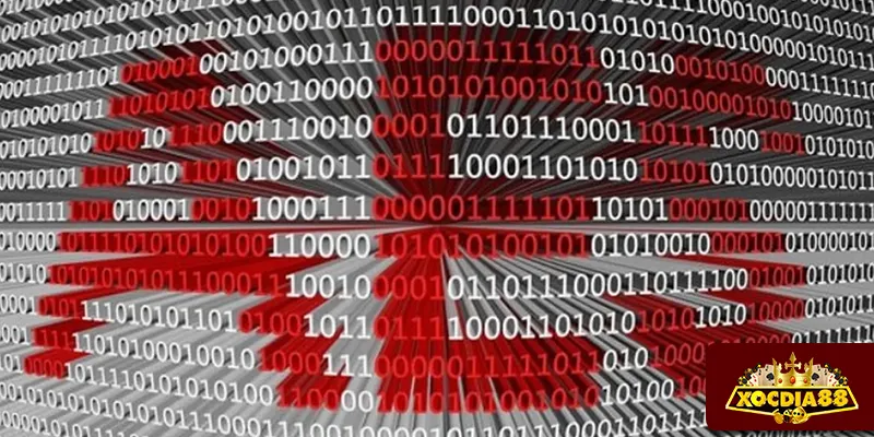 Công nghệ mã hóa AES-256 và tường lửa bảo vệ dữ liệu người chơi