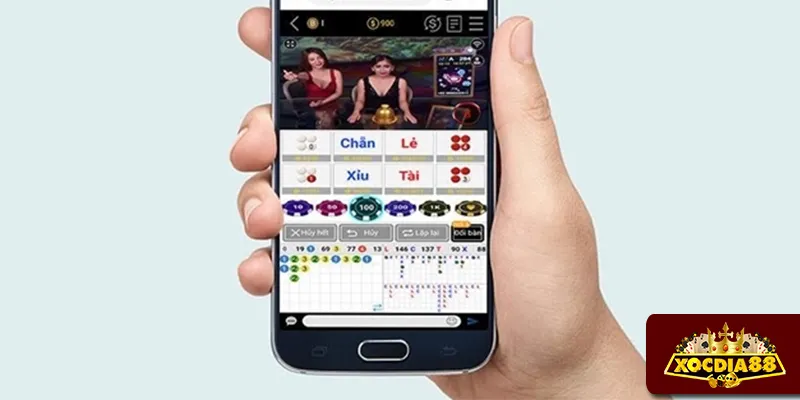 App soi cầu Xóc đĩa hỗ trợ đưa ra quyết định mau chóng