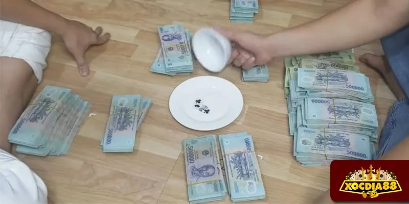 Trò chơi Xóc đĩa ngoài đời kết hợp giữa may mắn và chiến thuật