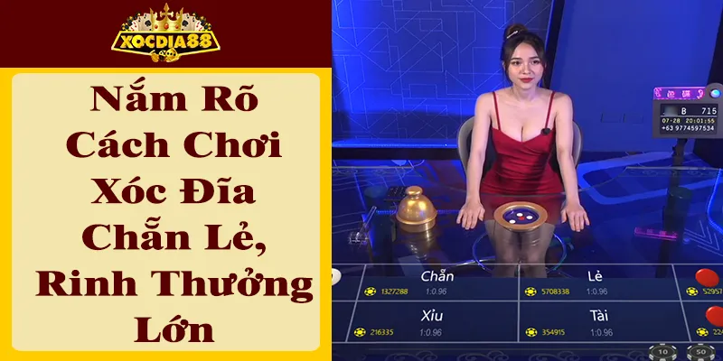 Cách Chơi Xóc Đĩa Chẵn Lẻ: Bí Quyết Từ Cao Thủ XOCDIA88